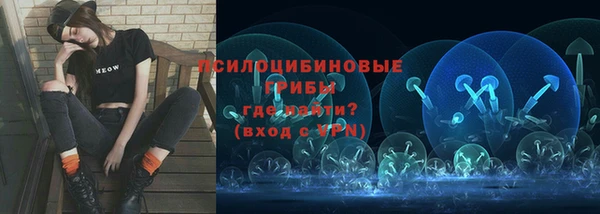 jwh Гусев