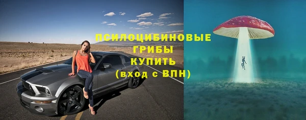 марки nbome Гусь-Хрустальный