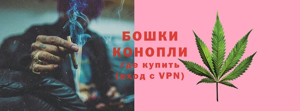 бошки Гусиноозёрск