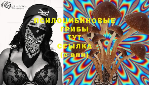 марки nbome Гусь-Хрустальный