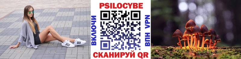 Галлюциногенные грибы Magic Shrooms  kraken ТОР  Курган 